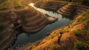 Lush, self-watering Greg Swales food forest capturing every raindrop and producing abundance with zero irrigation.
