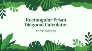 Rectangular Prism Diagonal Calculator