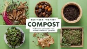 Best Beginner-Friendly Compost Setups for Easy Homesteading