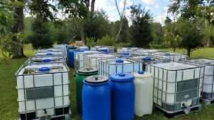 Rain Barrels and IBC Totes