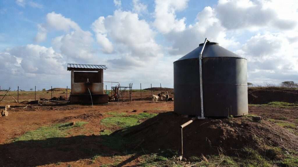 Rainwater and Filtered Water for Livestock