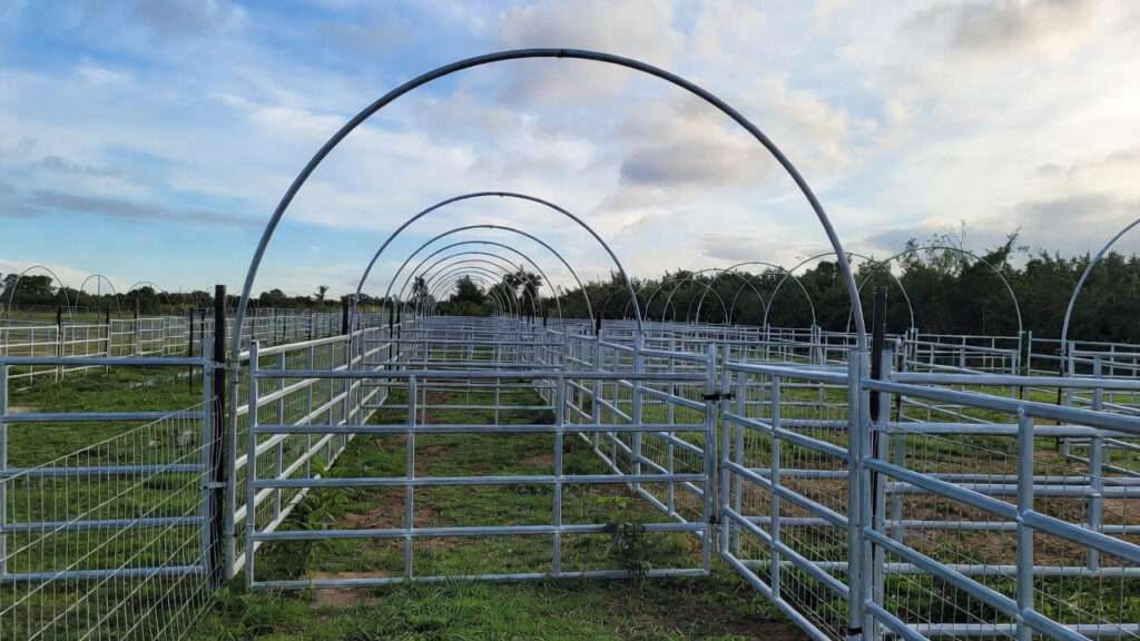 Cattle-Panel Arches and Walls