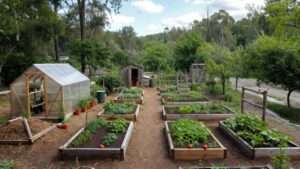 Off-Grid Homestead Garden Design