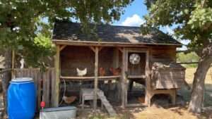 keep chicken coop cool in summer