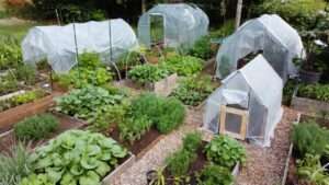 budget greenhouses under $500 for beginners