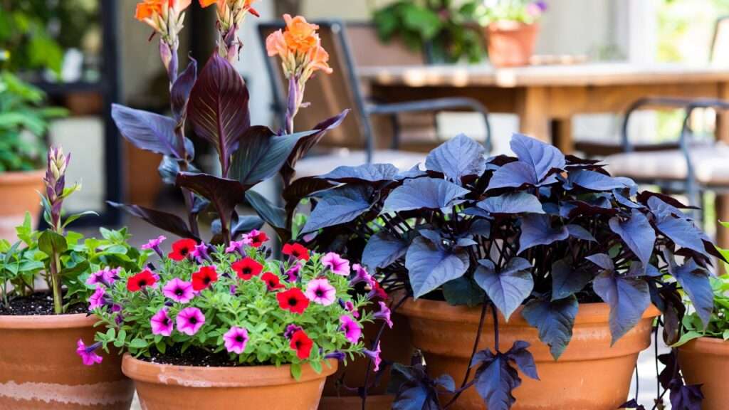 Thriller Filler Spiller