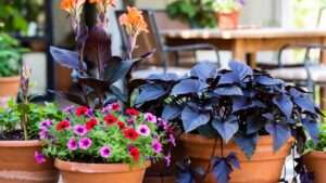 Thriller Filler Spiller