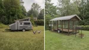 Mobile vs Permanent Coops