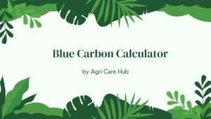 Blue Carbon Calculator