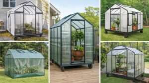 Best Greenhouse-on-Wheels Kits for US Patios guide