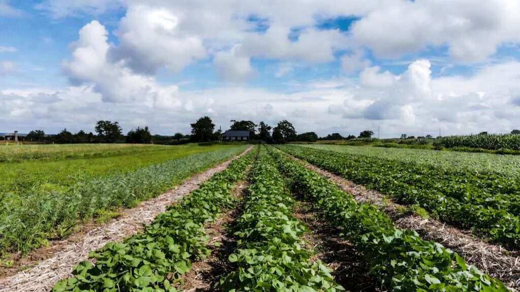 starting a homestead while living off-site