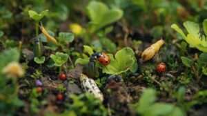 Good Bugs vs Bad Bugs in Raised Beds