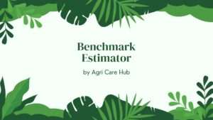 Benchmark Estimator