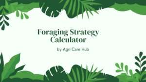 Foraging Strategy Calculator
