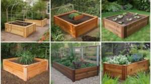 Best Raised Bed Kits for Windy US Sites guide