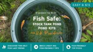 Best fish-safe stock tank pond kits for US gardeners guide