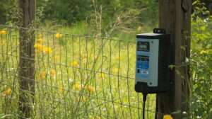 Best Solar Electric Fence Charger