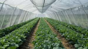 Best insect netting systems for US brassicas that don’t crush plants​