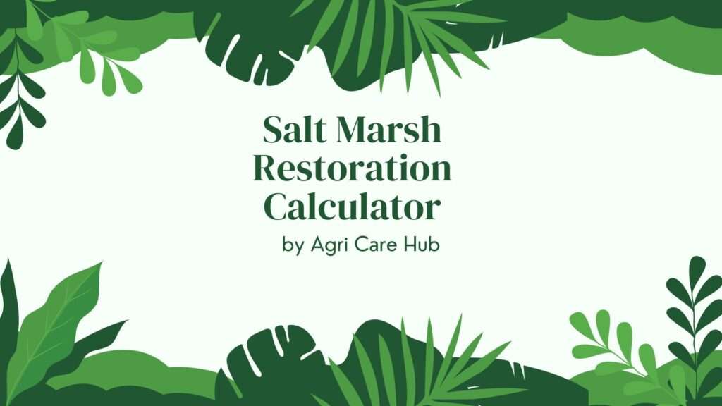 Salt Marsh Restoration Calculator