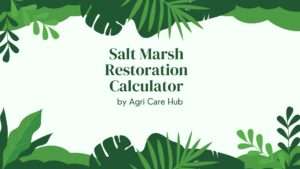 Salt Marsh Restoration Calculator