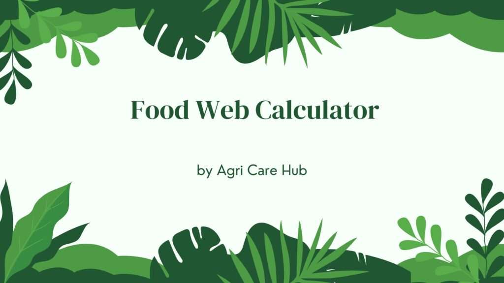 Food Web Calculator