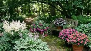 best full shade flowers